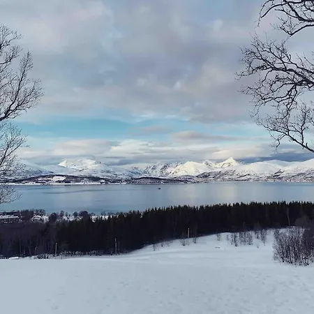 Beautiful House With Garden Close To The Hotel Tromsø